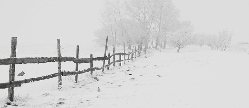 Newcastle braces for disruptive snowfall amid lingering winter, Met Office predicts intense snow showers, raising concerns for safety and transportation.